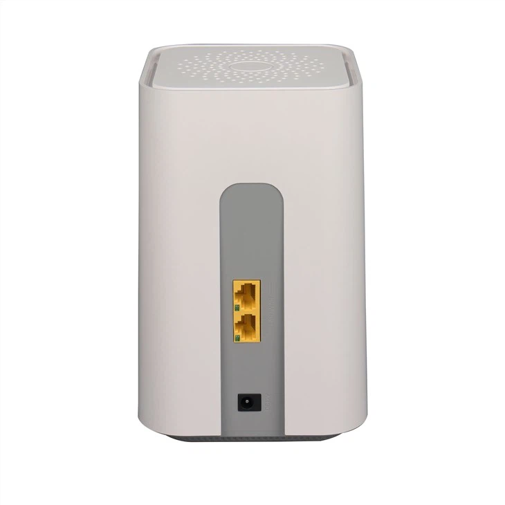1GE plus 1FE Wireless Router Support Mesh Connection